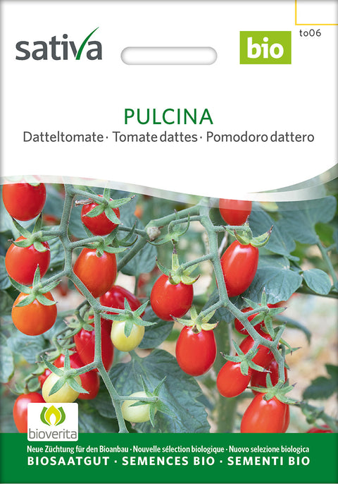 Tomatfrø - Pulcina - øko Tomat - PULCINA (Solanum lycopersicum) - Tomatfrø - økofrø - frø - øko- grøntsagsfrø