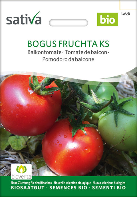 Tomat - BOGUS FRUCHTA KS (Solanum lycopersicum) - Tomatfrø - grøntsagsfrø - øko - frø  - økofrø