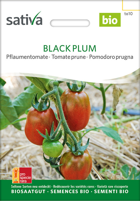 Tomat - BLACK PLUM (Solanum lycopersicum) - Tomatfrø - grøntsagsfrø - økofrø - frø - øko