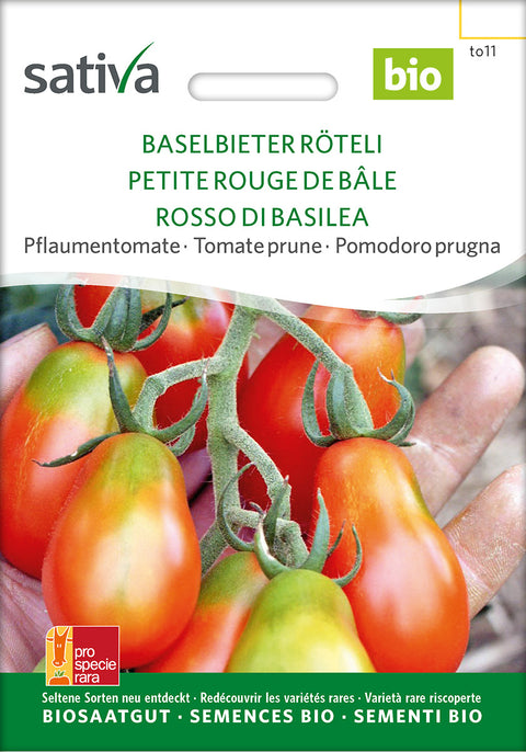 Tomat - BASELBIETER RÖTELI (Solanum lycopersicum) - Tomatfrø - grøntsagsfrø - økofrø - øko 