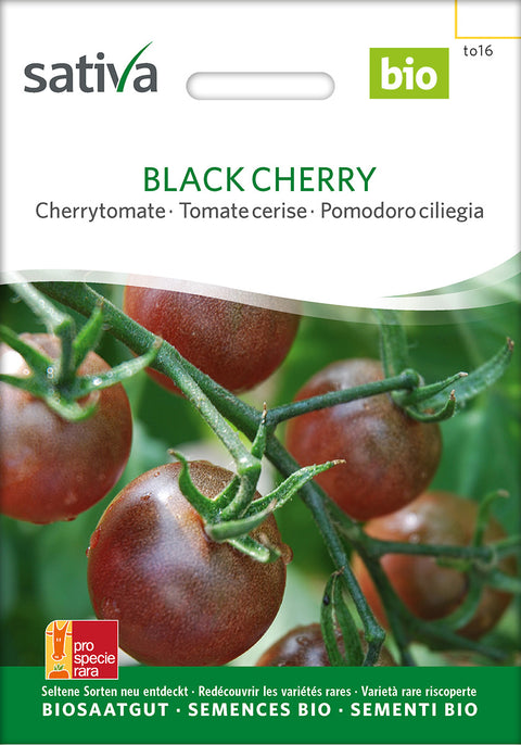 Tomat - BLACK CHERRY (Solanum lycopersicum) - tomatfrø - grøntsagsfrø - økofrø - øko