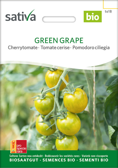 Tomat - GREEN GRAPE (Solanum lycopersicum) - Tomatfrø - grøntsagsfrø - frø - økofrø