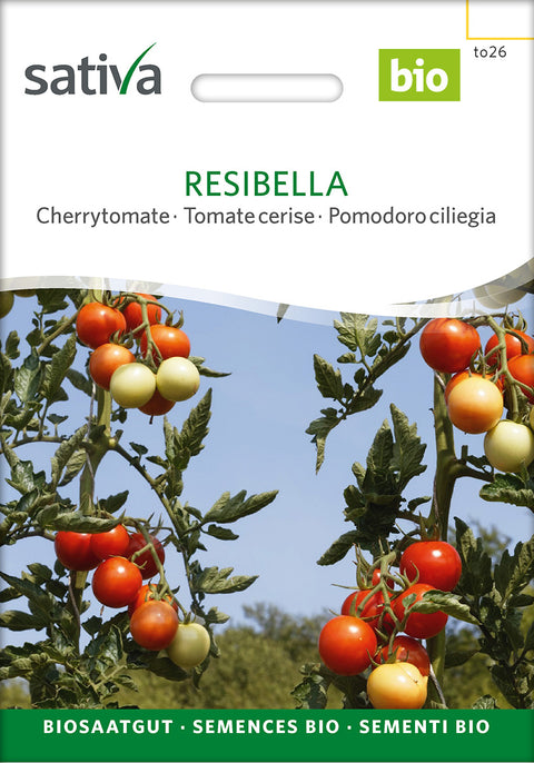 Tomat - RESIBELLA (Solanum lycopersicum) Økologiske frø