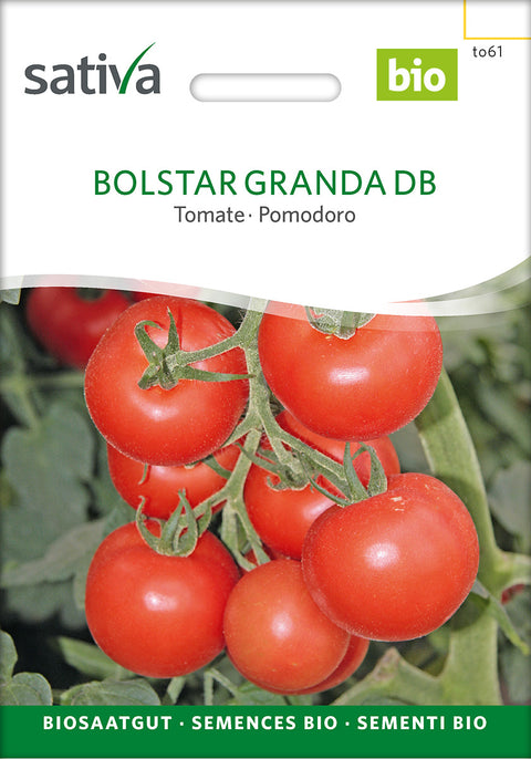 Tomat - BOLSTAR GRANDA DB (Solanum lycopersicum) - økotomat - tomatfrø - grøntsagsfrø - økofrø - øko - frø