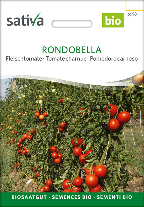 Tomat - RONDOBELLA (Solanum lycopersicum) - økofrø -grøntsagsfrø - tomatfrø - økologiske frø