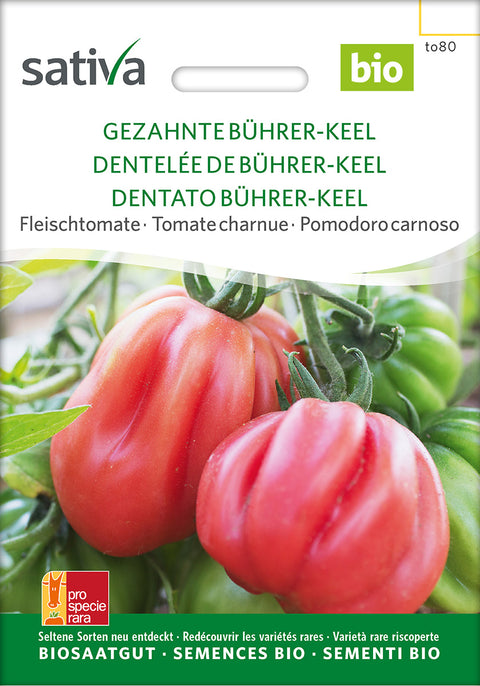 Tomat - SERRATED BÜHRER-KEEL (Solanum lycopersicum) - økofrø - økologiske frø - tomatfrø - grøntsagsfrø