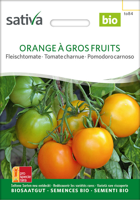 Tomat - ORANGE À GROS FRUITS (Solanum lycopersicum) - Tomatfrø - frø - økofrø - grøntsagsfrø - øko 