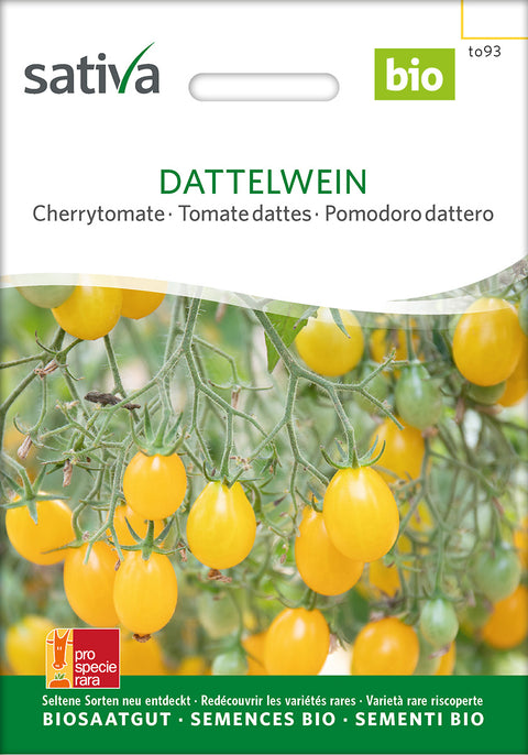 Tomat - DATTELWEIN (Solanum lycopersicum) Økologiske frø