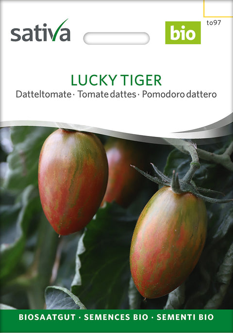 Tomat - LUCKY TIGER (Solanum lycopersicum) - blommetomat - tomatfrø - grøntsagsfrø - økofrø - frø