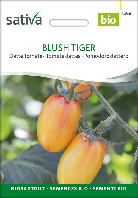 Tomat - BLUSH TIGER (Solanum lycopersicum) - økofrø - grøntsagsfrø - økologoske frø - tomatfrø