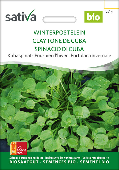 Vintersalat - WINTER PURSLANE (Claytonia perfoliata) - økofrø - grøntsagsfrø - økologiske frø - salatfrø