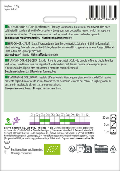 Salat - BUCKS HORN PLANTAIN (Plantago coronopus) Økologiske frø