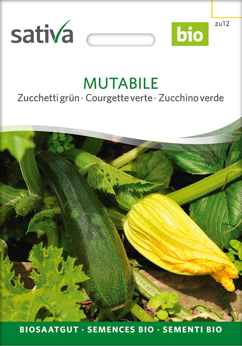 squash - MUTABILE (Cucurbita pepo) -økofrø - økologiske frø - grøntsagsfrø