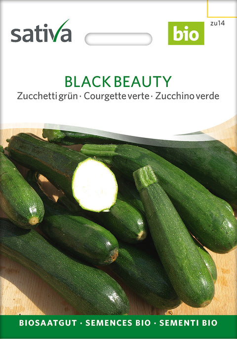 Squash- BLACK BEAUTY (Cucurbita pepo) - økofrø - grøntsagsfrø - økologiske frø