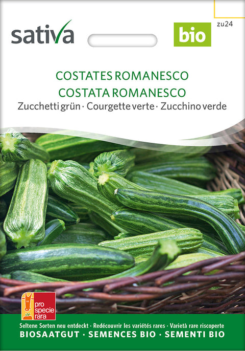 Squash - COSTATA ROMANESCO (Cucurbita pepo) - økofrø -økologiske frø - grøntsagsfrø