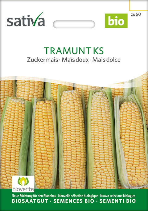 Majs - TRAMUNT KS (Zea mays) - grøntsagsfrø - økofrø - økologiske frø - majsfrø