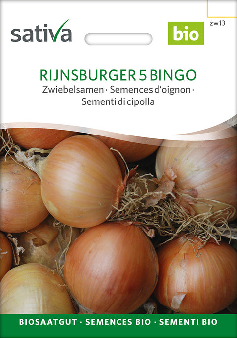 Løg - RIJNSBURGER 5 BINGO (Allium cepa) - løgfrø - grøntsagsfrø - økofrø - økologiske frø