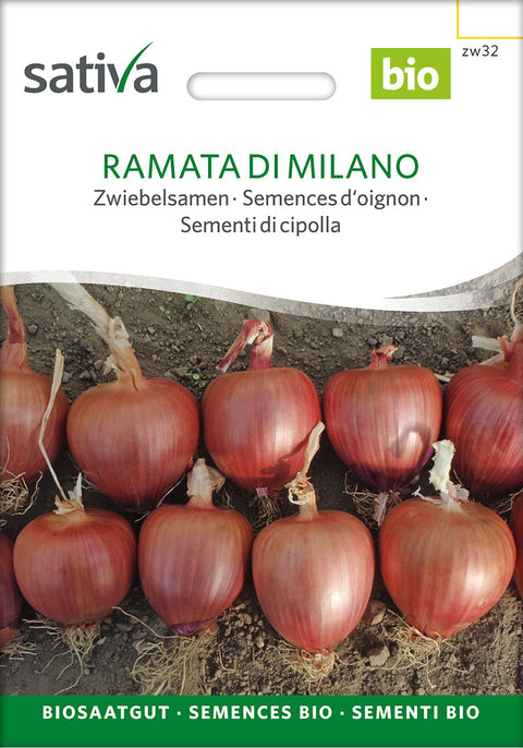 Løg Ramata di Milano (Allium cepa) - Økologiske Frø