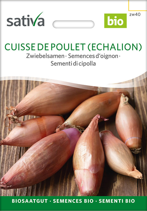 Løg Cuisse de poulet 'échalion' (Allium cepa) - Økologiske Frø